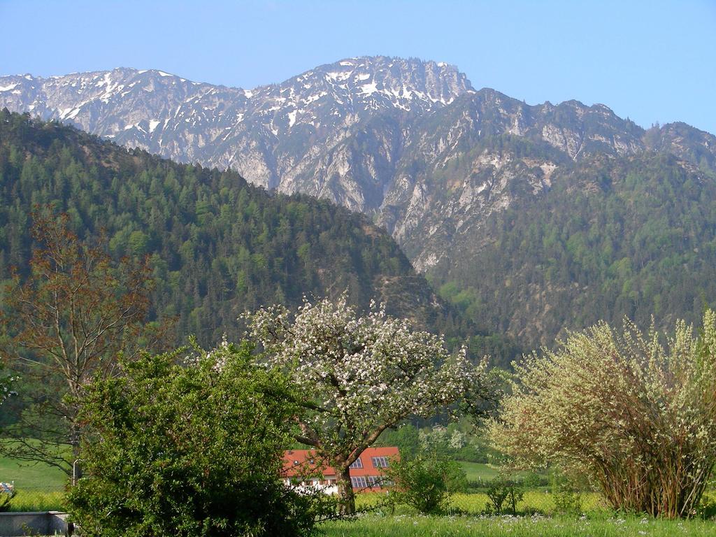Guder Apartment